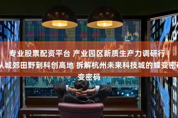 专业股票配资平台 产业园区新质生产力调研行 | 从城郊田野到科创高地 拆解杭州未来科技城的蝶变密码