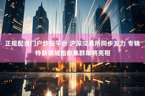 正规配资门户炒股平台 沪深交易所同步发力 专精特新领域指数集群即将亮相