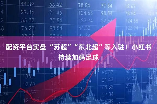 配资平台实盘 “苏超”“东北超”等入驻!小红书持续加码足球